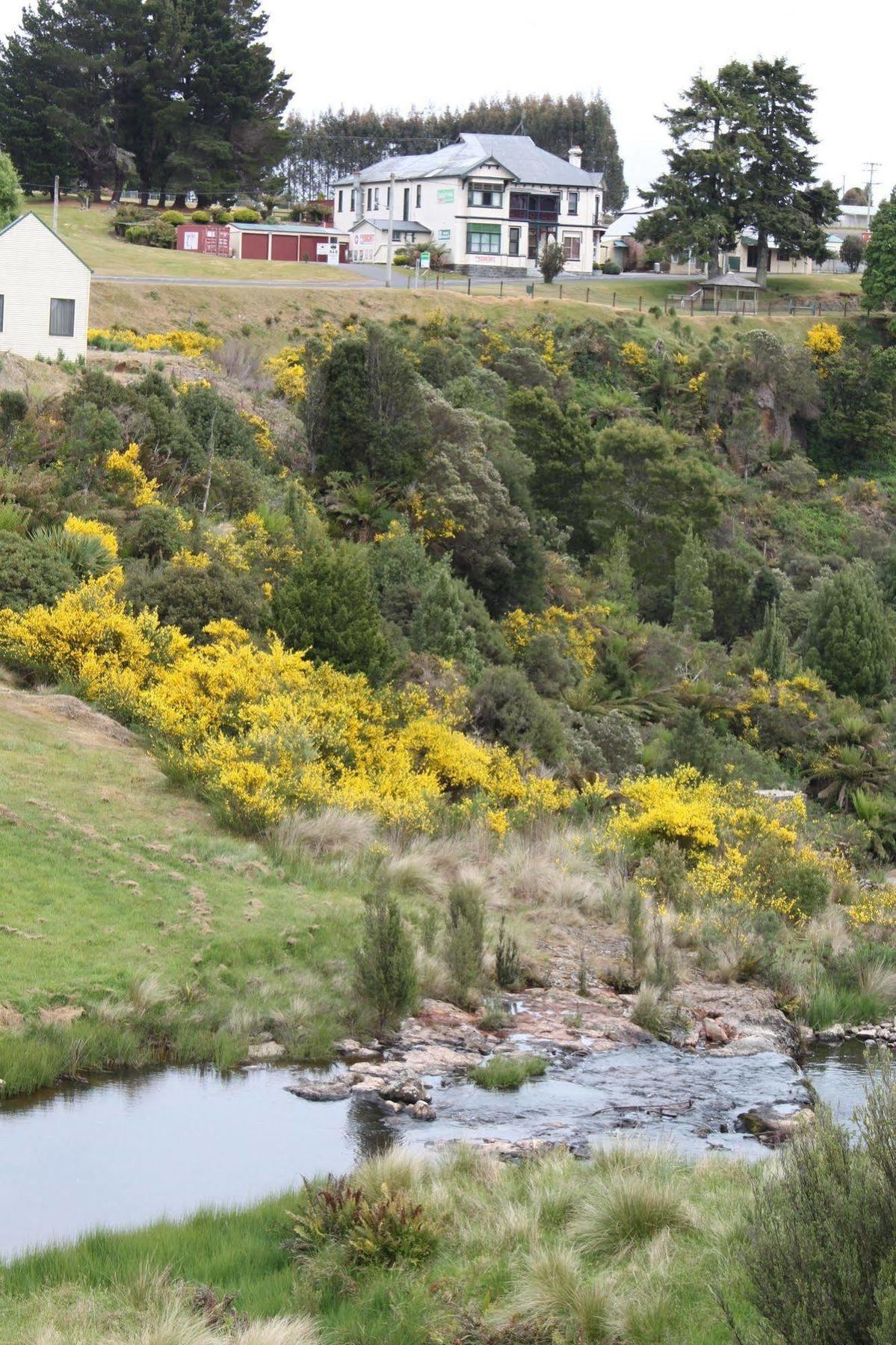 Bischoff Hotel Waratah Esterno foto